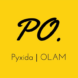 Pyxida OLAM